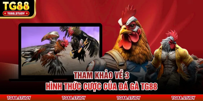 Tham khảo về 3 hình thức cược của đá gà TG88